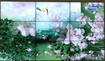㶫ʡï60խҺƴ̰խƴǽӦ